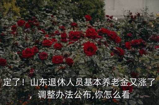 定了！山東退休人員基本養(yǎng)老金又漲了，調(diào)整辦法公布,你怎么看