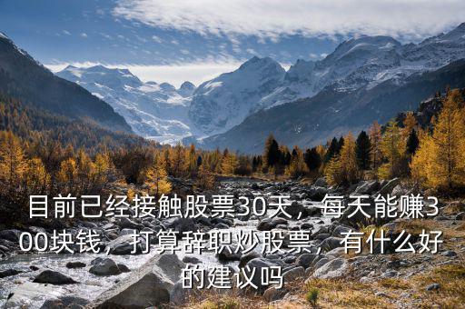 目前已經(jīng)接觸股票30天，每天能賺300塊錢，打算辭職炒股票，有什么好的建議嗎