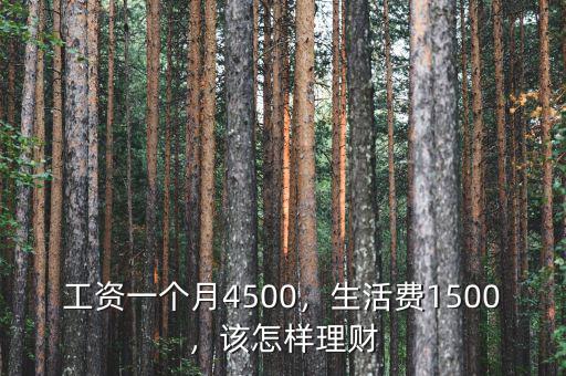 工資一個(gè)月4500，生活費(fèi)1500，該怎樣理財(cái)