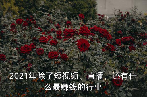 2021年除了短視頻、直播，還有什么最賺錢的行業(yè)