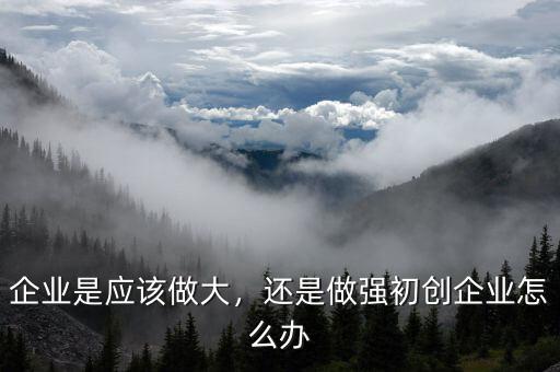 企業(yè)是應(yīng)該做大，還是做強(qiáng)初創(chuàng)企業(yè)怎么辦
