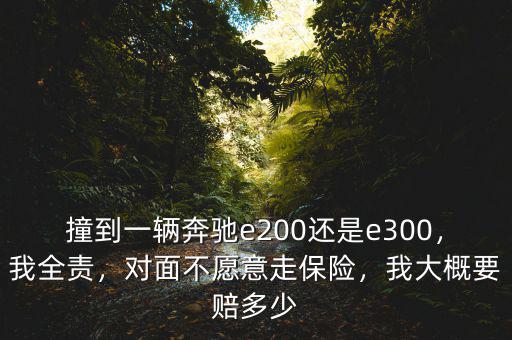 撞到一輛奔馳e200還是e300，我全責(zé)，對面不愿意走保險，我大概要賠多少