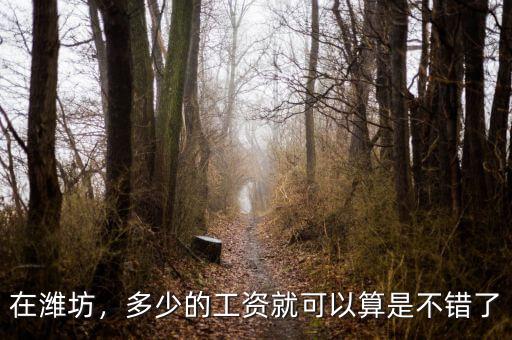 在濰坊，多少的工資就可以算是不錯了