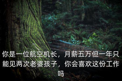 你是一位航空機長，月薪五萬但一年只能見兩次老婆孩子，你會喜歡這份工作嗎