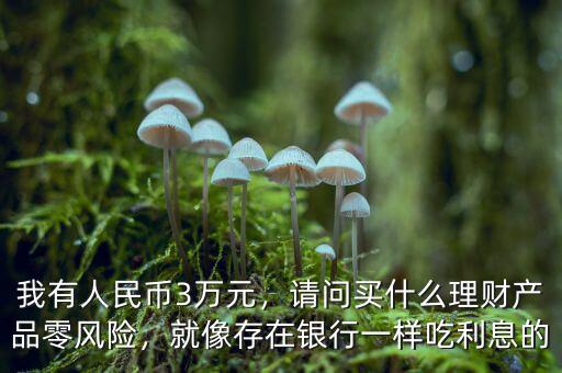 我有人民幣3萬元，請問買什么理財(cái)產(chǎn)品零風(fēng)險(xiǎn)，就像存在銀行一樣吃利息的