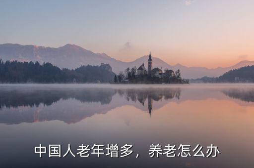 中國人老年增多，養(yǎng)老怎么辦