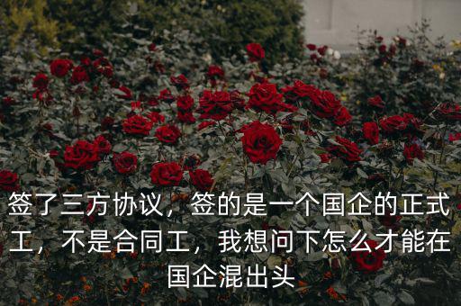簽了三方協(xié)議，簽的是一個國企的正式工，不是合同工，我想問下怎么才能在國企混出頭
