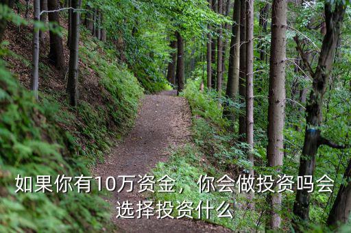 如果你有10萬(wàn)資金，你會(huì)做投資嗎會(huì)選擇投資什么