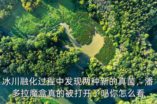 冰川融化過程中發(fā)現(xiàn)兩種新的真菌，潘多拉魔盒真的被打開了嗎你怎么看
