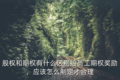 期權激勵是什么意思,給員工期權獎勵