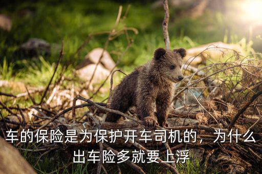 車輛保險(xiǎn)為什么會(huì)上浮,車的保險(xiǎn)是為保護(hù)開(kāi)車司機(jī)的