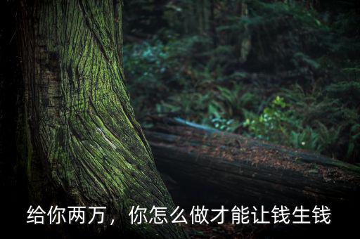 給你兩萬，你怎么做才能讓錢生錢