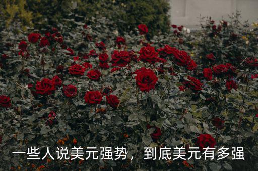 一些人說美元強勢，到底美元有多強
