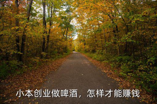 小本創(chuàng)業(yè)做啤酒，怎樣才能賺錢
