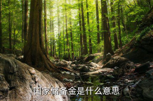 國家儲(chǔ)備金是什么意思