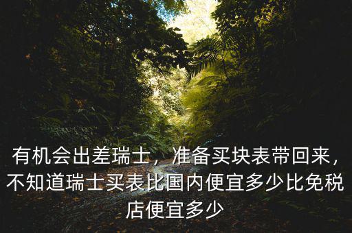 有機(jī)會(huì)出差瑞士，準(zhǔn)備買塊表帶回來，不知道瑞士買表比國內(nèi)便宜多少比免稅店便宜多少