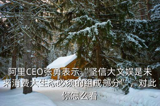 阿里CEO張勇表示“堅(jiān)信大文娛是未來消費(fèi)大生態(tài)必須的組成部分”，對(duì)此你怎么看