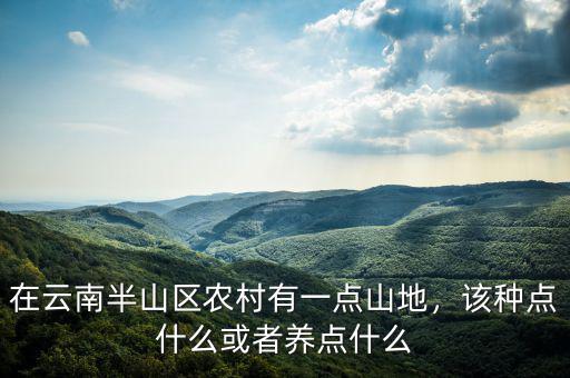 在云南半山區(qū)農村有一點山地，該種點什么或者養(yǎng)點什么
