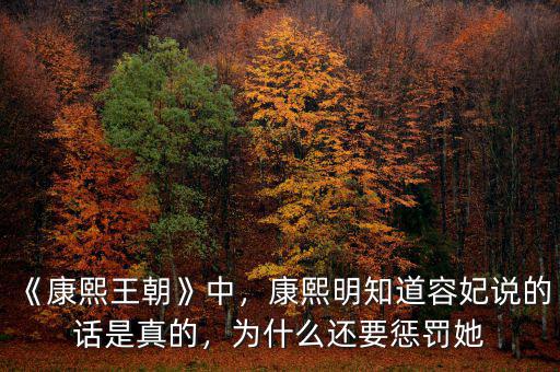 《康熙王朝》中，康熙明知道容妃說的話是真的，為什么還要懲罰她