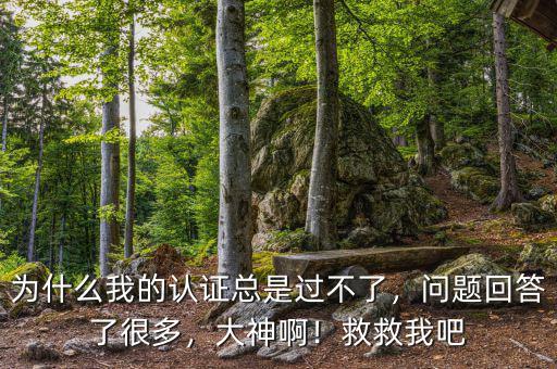 為什么我的認(rèn)證總是過不了，問題回答了很多，大神?。【染任野? class=