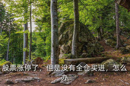 股票漲停了，但是沒有全倉(cāng)買進(jìn)，怎么辦