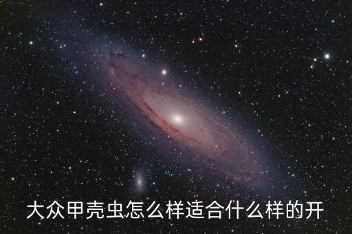 大眾甲殼蟲(chóng)怎么樣適合什么樣的開(kāi)