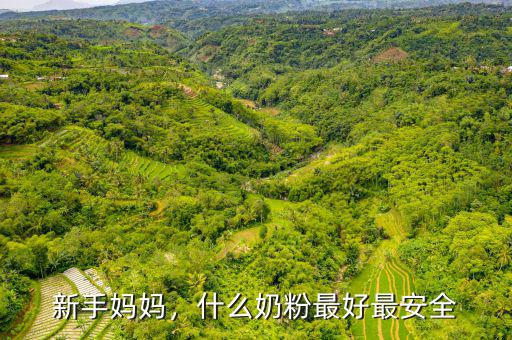 新手媽媽，什么奶粉最好最安全