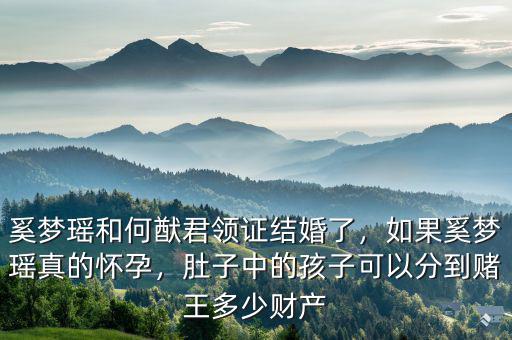 奚夢(mèng)瑤和何猷君領(lǐng)證結(jié)婚了，如果奚夢(mèng)瑤真的懷孕，肚子中的孩子可以分到賭王多少財(cái)產(chǎn)