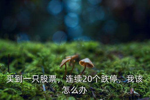 買到一只股票，連續(xù)20個(gè)跌停，我該怎么辦