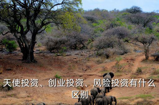 天使投資、創(chuàng)業(yè)投資、風險投資有什么區(qū)別