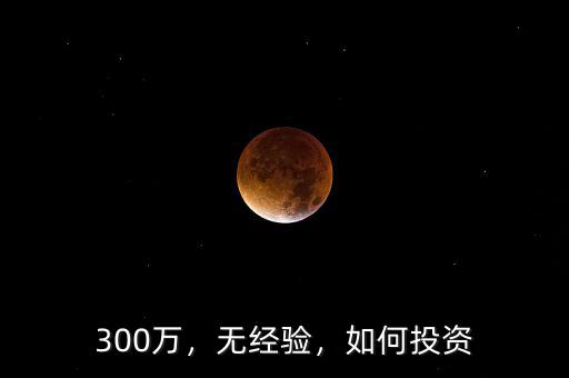 300萬，無經(jīng)驗(yàn)，如何投資