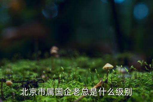 北京市屬國(guó)企老總是什么級(jí)別