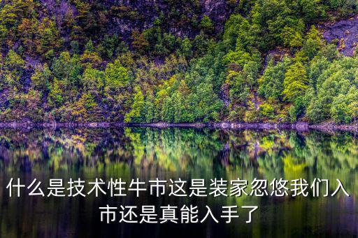 什么是技術性牛市這是裝家忽悠我們?nèi)胧羞€是真能入手了