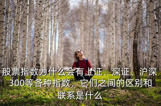 股票指數(shù)為什么會有上證、深證、滬深300等各種指數(shù)，它們之間的區(qū)別和聯(lián)系是什么
