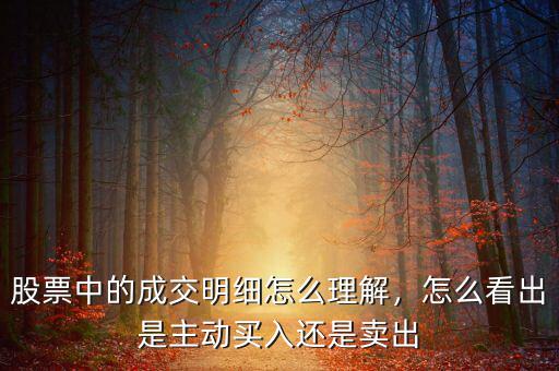 股票中的成交明細(xì)怎么理解，怎么看出是主動(dòng)買入還是賣出