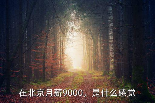 北京生活開(kāi)銷(xiāo)最大的是什么,基本的生活開(kāi)銷(xiāo)大概要多少錢(qián)