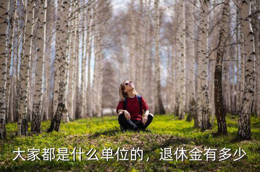 大家都是什么單位的，退休金有多少