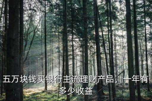 五萬(wàn)塊錢(qián)買(mǎi)銀行主流理財(cái)產(chǎn)品，一年有多少收益
