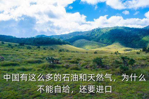 中國有這么多的石油和天然氣，為什么不能自給，還要進(jìn)口