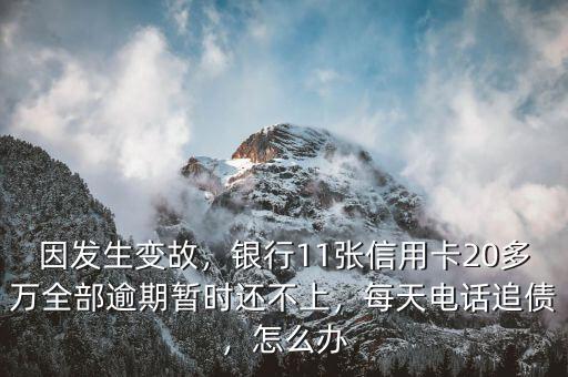 因發(fā)生變故，銀行11張信用卡20多萬全部逾期暫時還不上，每天電話追債，怎么辦