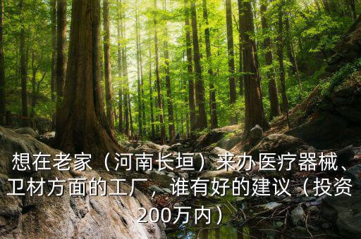 想在老家（河南長垣）來辦醫(yī)療器械、衛(wèi)材方面的工廠，誰有好的建議（投資200萬內）