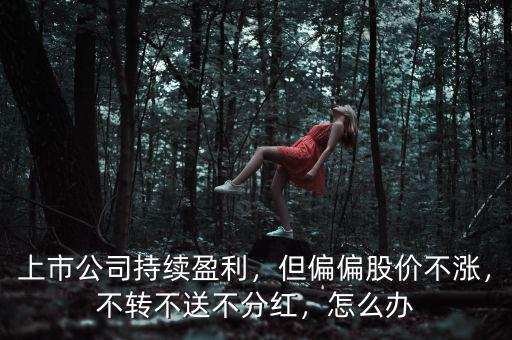 上市公司持續(xù)盈利，但偏偏股價(jià)不漲，不轉(zhuǎn)不送不分紅，怎么辦