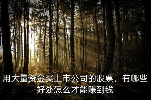 用大量資金買上市公司的股票，有哪些好處怎么才能賺到錢