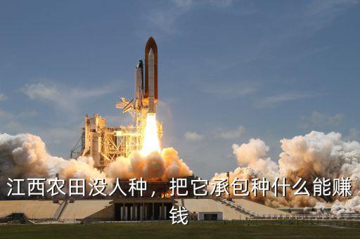 江西農田沒人種，把它承包種什么能賺錢