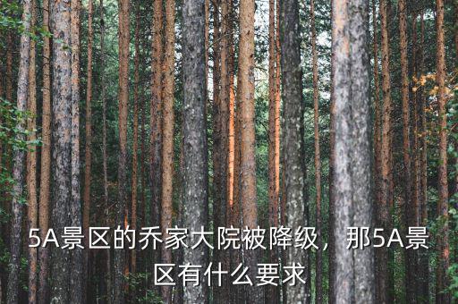 5A景區(qū)的喬家大院被降級，那5A景區(qū)有什么要求