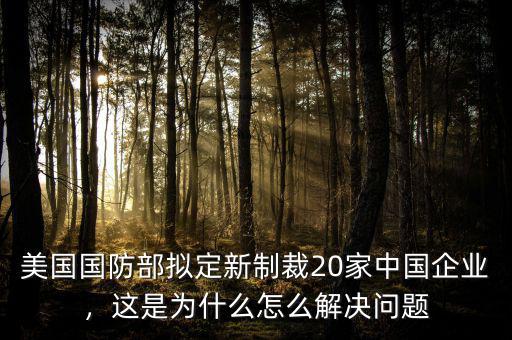 美國(guó)國(guó)防部擬定新制裁20家中國(guó)企業(yè)，這是為什么怎么解決問(wèn)題