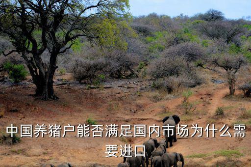中國養(yǎng)豬戶能否滿足國內市場為什么需要進口
