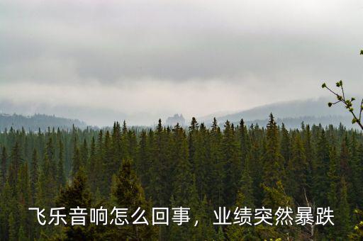 飛樂音響怎么回事，業(yè)績突然暴跌