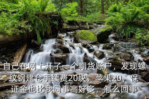 自己在網(wǎng)上開了一個(gè)期貨賬戶，發(fā)現(xiàn)螺紋鋼建倉(cāng)手續(xù)費(fèi)20塊，蘋果20，保證金也比我同事高好多，怎么回事