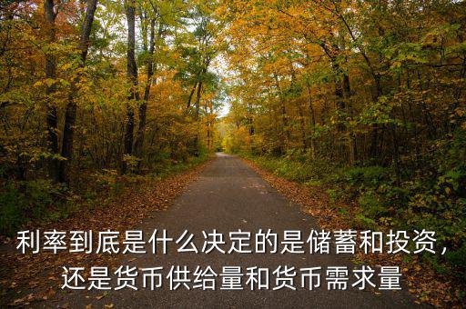 利率到底是什么決定的是儲(chǔ)蓄和投資，還是貨幣供給量和貨幣需求量